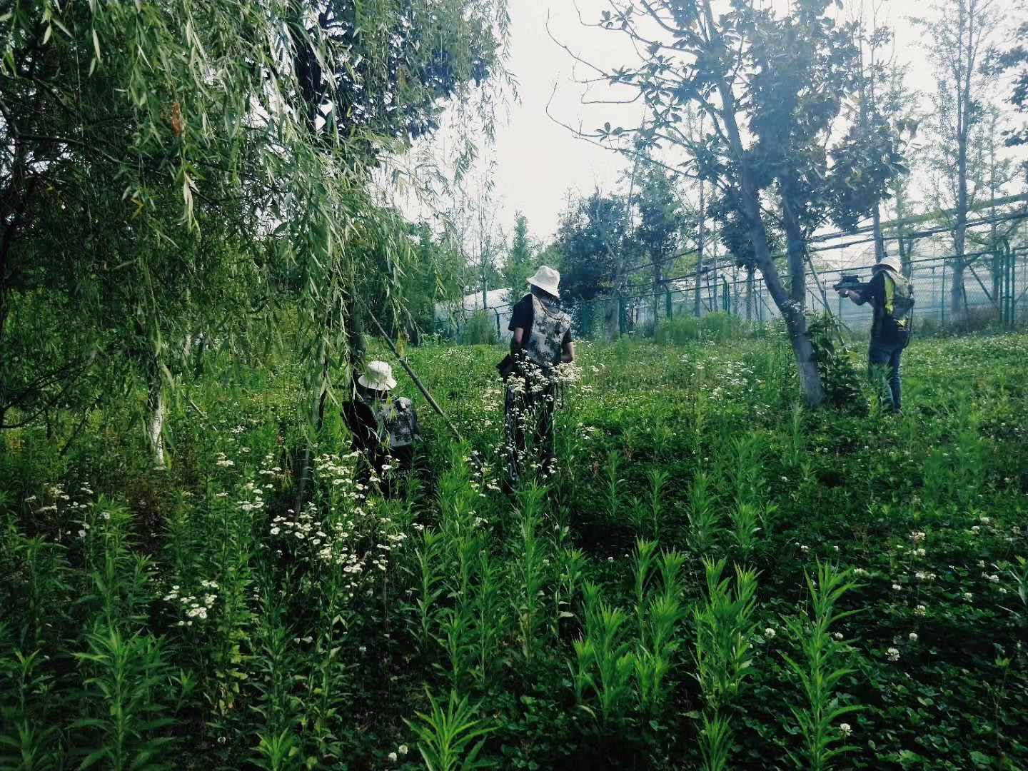 1593481780582410.jpg eae918451b3002847d75ea552eaeeb6.jpg